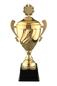 Cupe Sportive LX 012